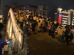 -万绿园