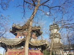 -盛世南宫影视城(北普陀影视城)
