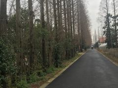 -前小桔亲子创意农场·草莓采摘·露营烧烤