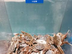 -曼格活海鲜·牛排自助(光明蓝鲸店)