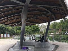 -大亚湾红树林城市湿地公园