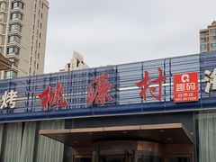-桃源村铁锅炖鱼(体育馆道店)