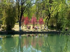 -花溪公园