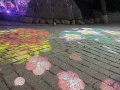 -南山公园