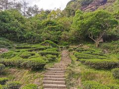 -九曲溪竹筏码头