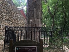 -北京上方山国家森林公园
