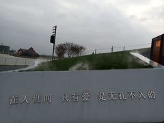 -荷兰花海