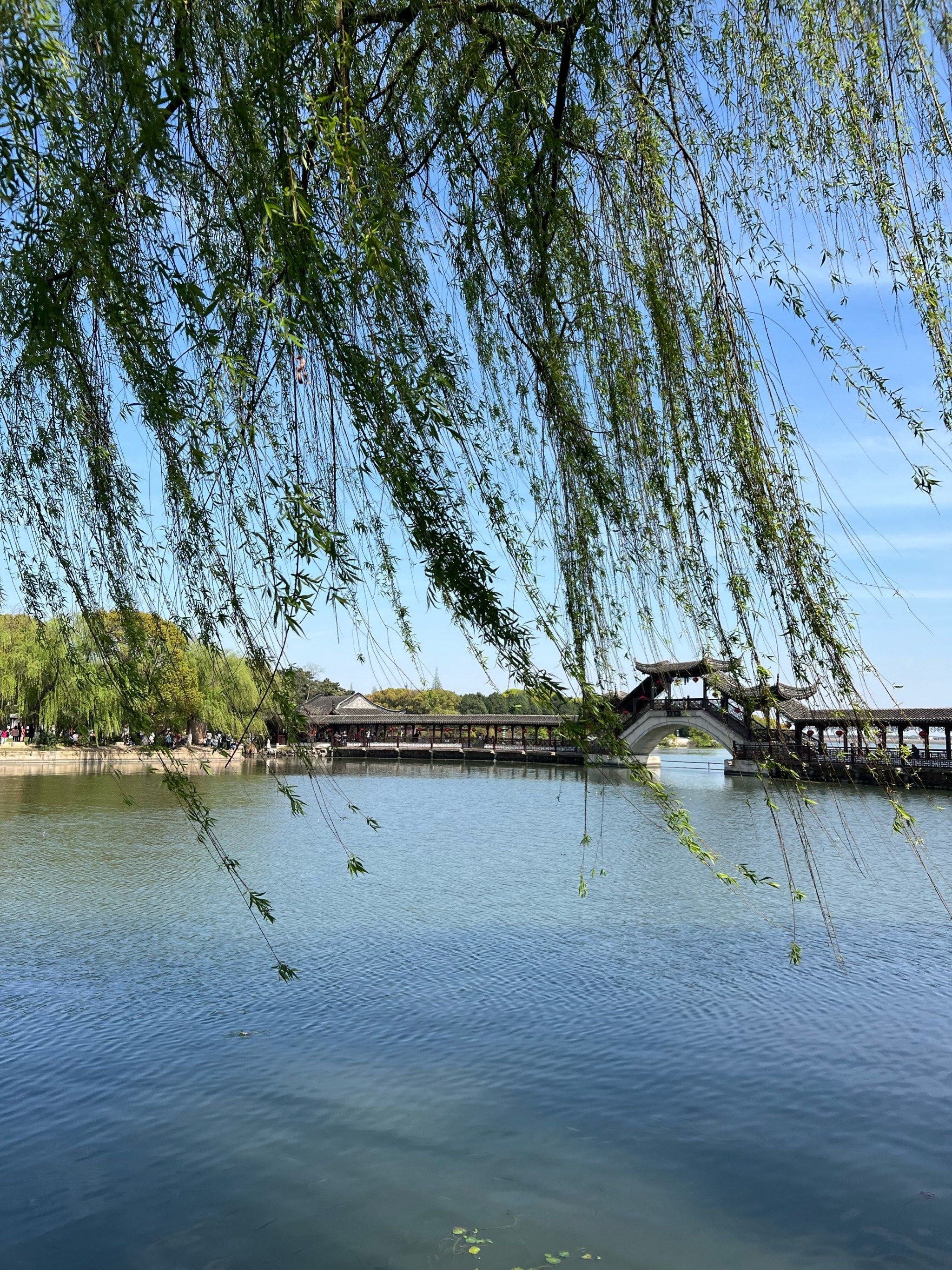 亭子「锦溪古镇」
附近就是淀山湖,可以一起骑行,非常棒
如此风景