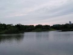 -福田红树林生态公园