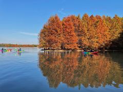-上海海湾国家森林公园
