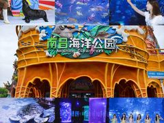 -南昌海洋公园