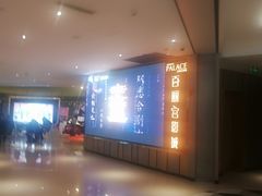 -百丽宫影城(CGS激光苏宁广场店)