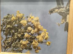 -中国农业博物馆
