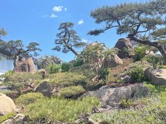 -罗红摄影艺术馆