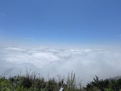 -白草畔自然风景区