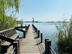 -苏州太湖湖滨国家湿地公园