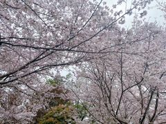 -堤角公园