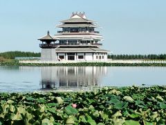 -呼兰河口湿地公园