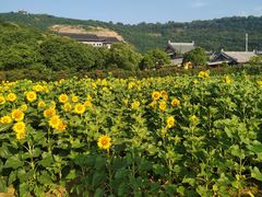 -雪浪山卡丁车俱乐部