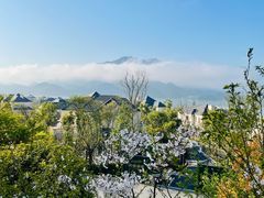 -杭州桐庐康莱德酒店西餐厅-舍