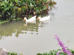-浙江大学(紫金港校区)
