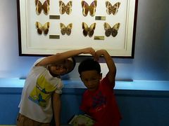 -上海昆虫博物馆