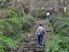 -南京市江宁方山