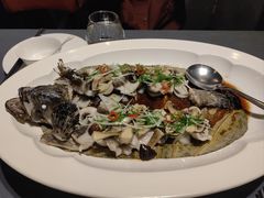 黑皮鸡枞菌蒸老虎斑-翠府(翠湖北路店)