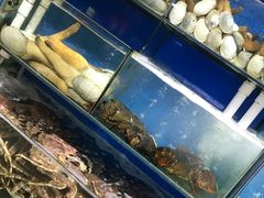水产区-蚝专家(北滘店)