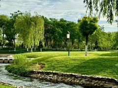 -咸阳湖景区-古渡公园