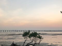 -宝安西湾红树林湿地公园