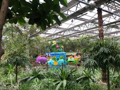 -南宫五洲植物乐园