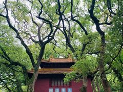 -普陀山风景名胜区-法雨禅寺