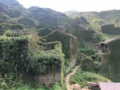 -枸杞岛