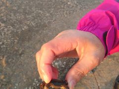 -日照灯塔风景区