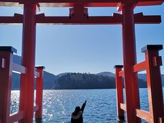 -秋叶原电器街