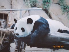 -成都动物园
