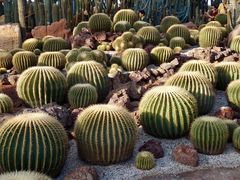 -南通洲际绿博园