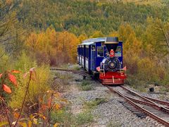 -莫尔道嘎国家森林公园