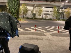 -新疆阿力烧烤