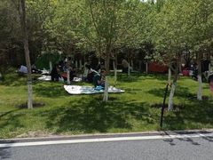 -小绿谷公园