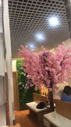 -久匠·纹眉纹绣半永久
