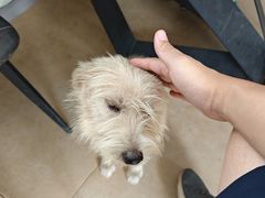 -新怡路亚垂钓园