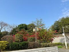 -顺峰山公园