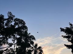 -厦门海湾公园游乐场
