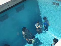 -金泽21世纪美术馆