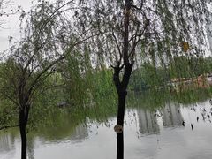 -东山湖公园