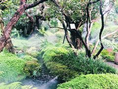 -Chom Cafe and Restaurant