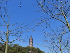 -顺峰山公园