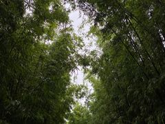 -蝴蝶泉公园